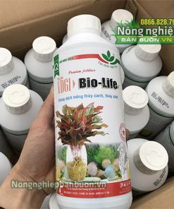 Dung dịch thủy canh Bio Life - T65