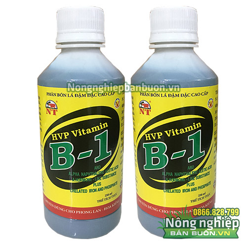 Phân bón lá Vitamin B1 cho Lan - T90