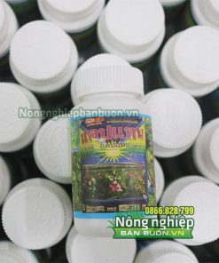 Thuốc trị bệnh thối nhũn Captan Thái Lan - T124
