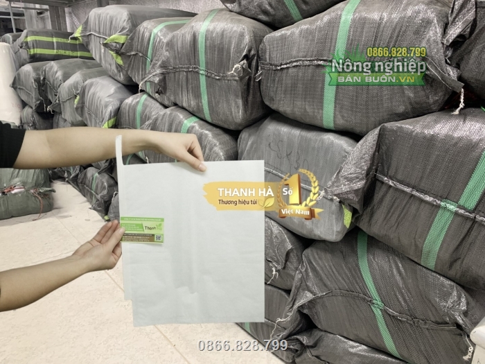 Tự hào là đơn vị cung cấp túi bao trái hàng đầu Miền Bắc Tự hào là đơn vị cung cấp túi bao trái hàng đầu Miền Bắc