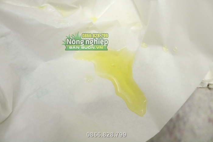 Túi có lớp sáp chống nước bên ngoài nên không làm túi bị mủn rách Túi có lớp sáp chống nước bên ngoài nên không làm túi bị mủn rách