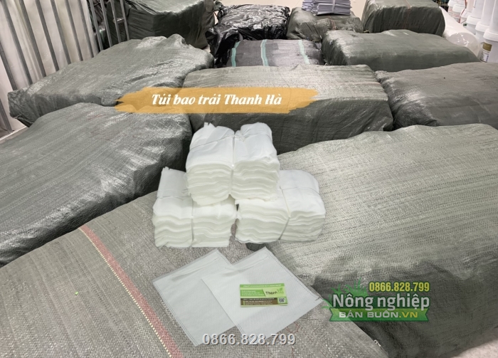 Quy mô kho hàng túi bao trái vô cùng lớn Quy mô kho hàng túi bao trái vô cùng lớn