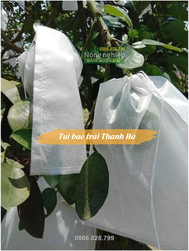 Túi vải bao trái chống nắng nóng gây rám quả, bỏng quả Túi vải bao trái chống nắng nóng gây rám quả, bỏng quả