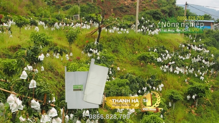Túi được các nhà vườn chuộng sử dụng và dùng rộng rãi Túi được các nhà vườn chuộng sử dụng và dùng rộng rãi