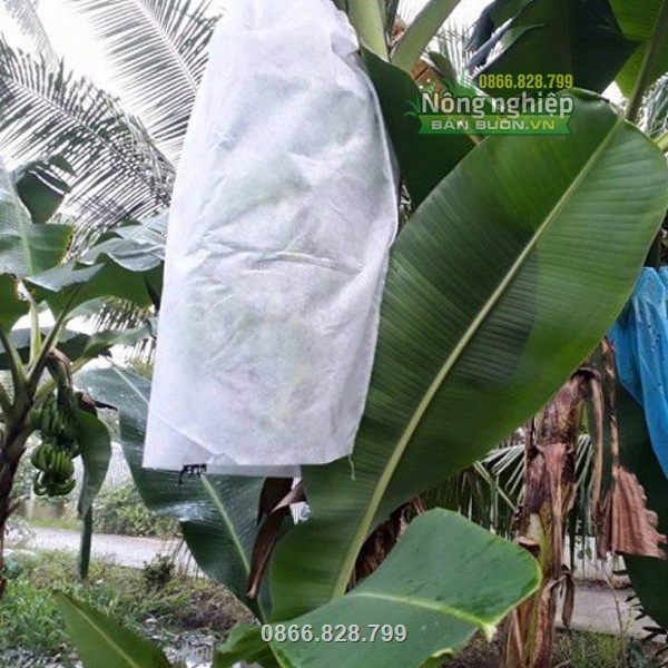 Túi một đầy có dây rút, một đầu để hở tạo độ thông thoáng Túi một đầy có dây rút, một đầu để hở tạo độ thông thoáng