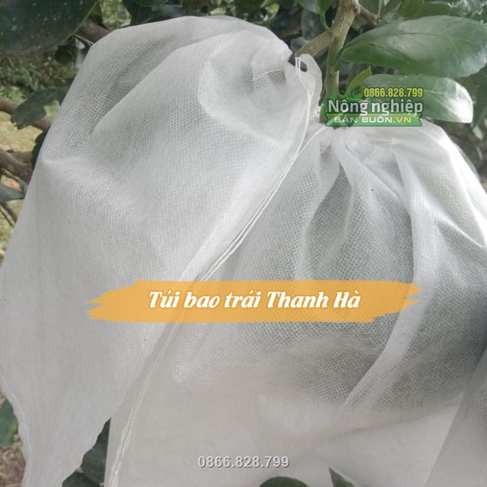 Túi giúp bảo vệ trái cây từ khi còn nhỏ, chống rám nắng Túi giúp bảo vệ trái cây từ khi còn nhỏ, chống rám nắng