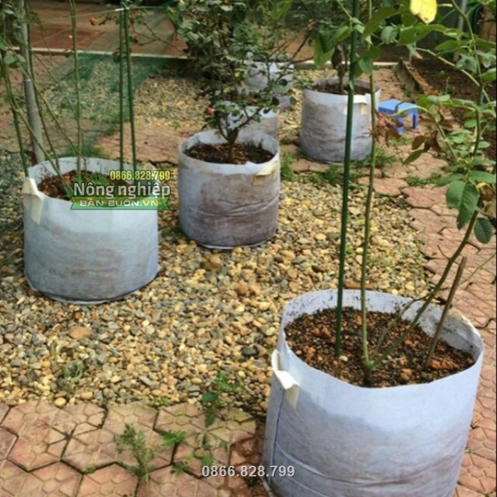 Chậu được sản xuất từ chất liệu vải không dệt loại dày rất bền khi dùng ngoài trời Chậu được sản xuất từ chất liệu vải không dệt loại dày rất bền khi dùng ngoài trời