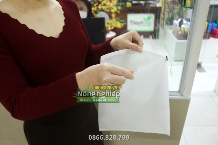 Túi với màu sắc trắng giúp trái quang hợp dễ dàng hơn Túi với màu sắc trắng giúp trái quang hợp dễ dàng hơn