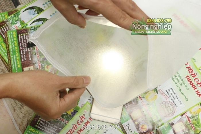Túi cho ánh sáng xuyên qua để trái quang hợp nhưng không gây rám trái Túi cho ánh sáng xuyên qua để trái quang hợp nhưng không gây rám trái