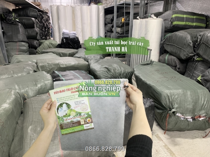 Cung cấp số lượng lớn túi bọc trái cây trên toàn quốc Cung cấp số lượng lớn túi bọc trái cây trên toàn quốc