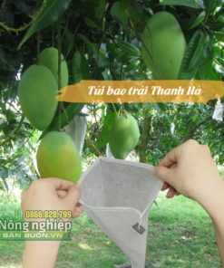 Túi bao trái cây Thanh Hà kích thước 20x27cm tái sử dụng được