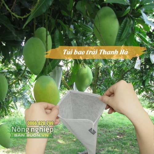 Túi bao trái cây Thanh Hà kích thước 20x27cm tái sử dụng được