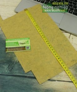 Túi bao xoài Taiwan, túi giấy bọc xoài Thanh Hà cỡ 20x30cm