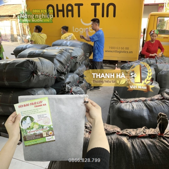 Vận chuyển qua nhiều hình thức khác nhau, giao hàng tận nơi trên toàn quốc Vận chuyển qua nhiều hình thức khác nhau, giao hàng tận nơi trên toàn quốc