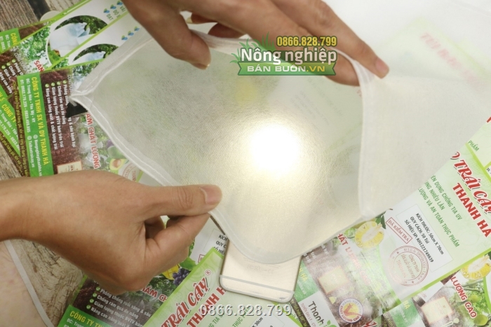 Đảm bảo ánh sáng giúp trái quang hợp tốt mà không làm bỏng trái, rám vỏ Đảm bảo ánh sáng giúp trái quang hợp tốt mà không làm bỏng trái, rám vỏ