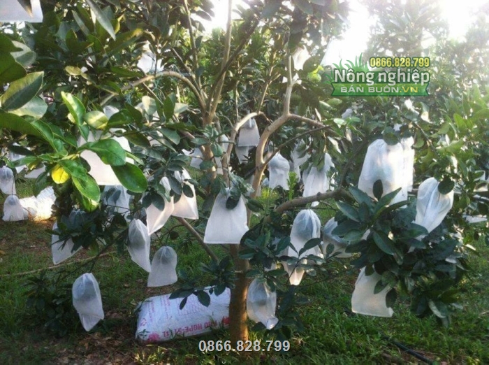 Sản phẩm được nhiều bà con tin tưởng và ưa chuộng sử dụng Sản phẩm được nhiều bà con tin tưởng và ưa chuộng sử dụng