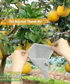 Túi bọc bưởi Diễn, bọc trái cây 25x30cm thương hiệu Thanh Hà bền đẹp