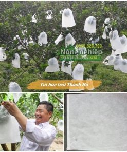 Túi bọc hoa quả tránh côn trùng, chống nắng hiệu Thanh Hà cỡ 25x30cm