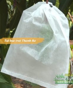 Túi bọc trái cây chống côn trùng cỡ 20x27cm thương hiệu Thanh Hà