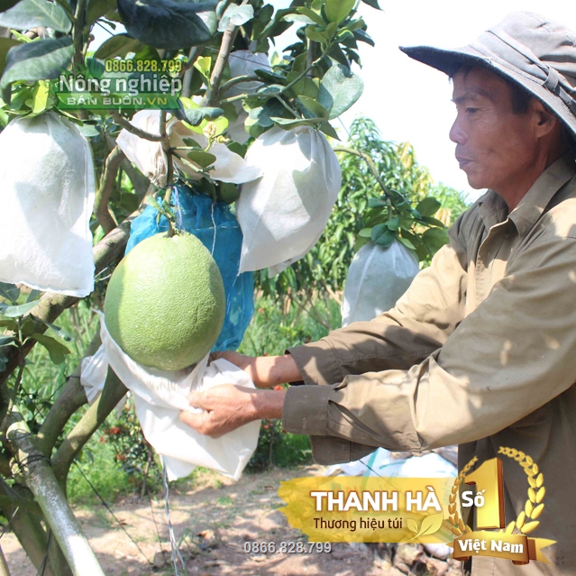 Túi chống nắng nóng tốt, không gây bỏng trái do có chứa chất chống tia UV cao Túi chống nắng nóng tốt, không gây bỏng trái do có chứa chất chống tia UV cao