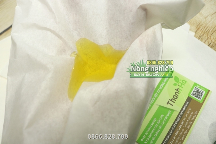 Túi giúp chống thấm nước tốt, trái không bị úng nước khi gặp mưa Túi giúp chống thấm nước tốt, trái không bị úng nước khi gặp mưa