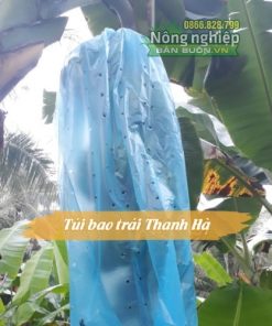 Túi bọc trái cây chống côn trùng Thanh Hà, bao chùm chuối 70x140cm