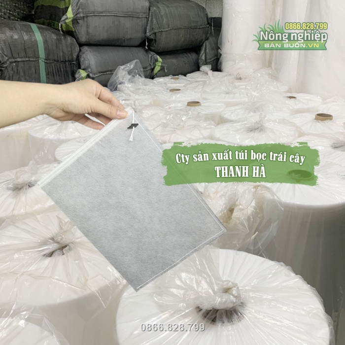 Phân phối túi vải bọc bưởi Thanh Hà trên toàn quốc Phân phối túi vải bọc bưởi Thanh Hà trên toàn quốc