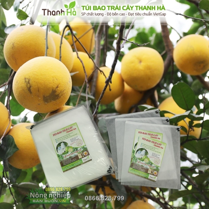Túi vải bọc bưởi 25x30 bảo vệ trái từ khi còn nhỏ đến lúc thu hoạch Túi vải bọc bưởi 25x30 bảo vệ trái từ khi còn nhỏ đến lúc thu hoạch